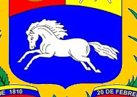 venezuela_cheval
