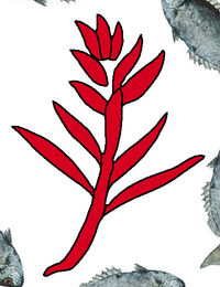 Détail du ti sur le drapeau d'Airai