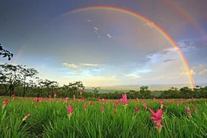 arc en ciel