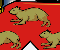 Daman sur le drapeau de Bulawayo