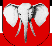 cameroun_elephant