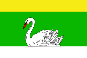 drapeau du comté de cantemir