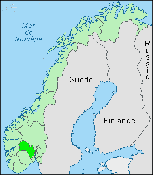 car_buskerud