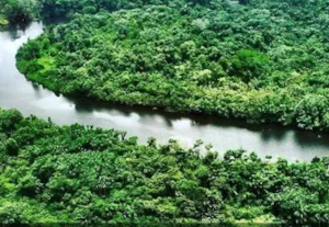 fleuve Cesnos