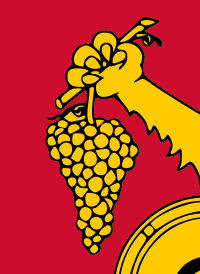 Cimișlia détail