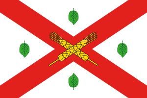 drapeau de Dondușeni