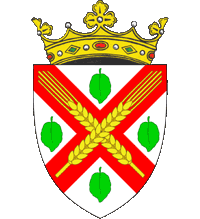 blason Dondușeni