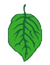 détail de Dondușeni