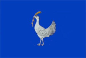 drapeau de Drochia
