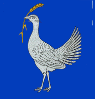 Détail de Drochia