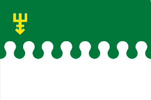 drapeau d'Edineț