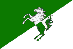 drapeau de Fălești