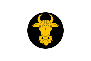 drapeau de Glodeni
