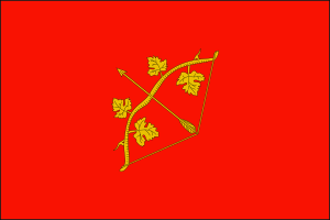 drapeau de Hîncești