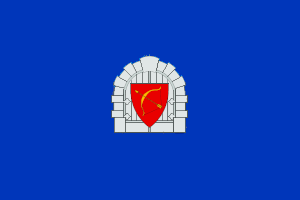 drapeau de Ialoveni