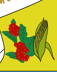 jinotega_caf