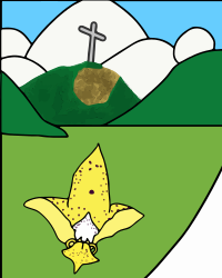 jinotega_crx