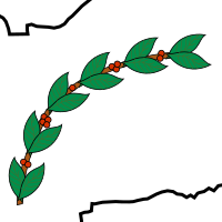 matagalpa_caf