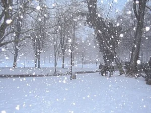 neige