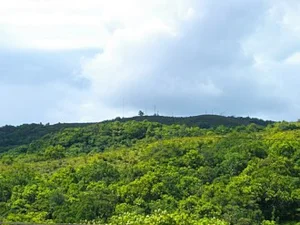 Mont Ngerchelchuus