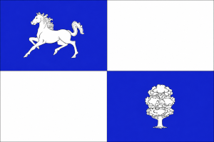 drapeau de Nisporeni
