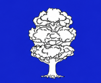 Nisporeni détail