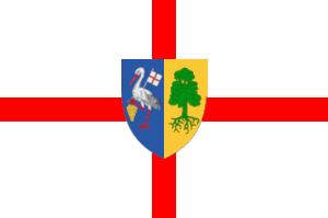 drapeau d'Orhei