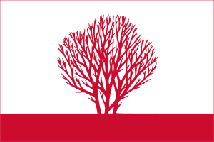 drapeau de Sîngerei