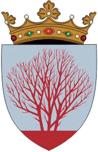 armoiries de Sîngerei