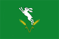 drapeau de Șoldănești
