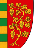 Ștefan Vodă détail