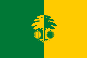 drapeau de Strășeni