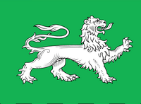 drapeau détail lion