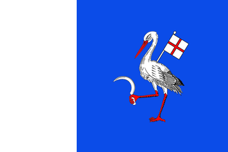 drapeau de Telenești